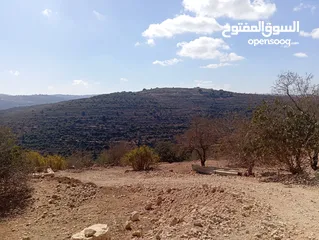  6 أرض مميزة للبيع