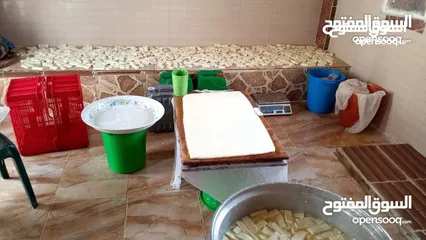  6 مطلوب شريك ممول لمعمل اجبان  يعمل بشكل جيد
