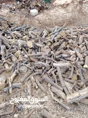  7 حطب زيتون زند وقرمي ناشف حطب لوزيات ناشف