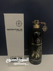  1 Montale Arabians Tonka