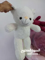  2 شروة بضاعه بسعر حرق دب