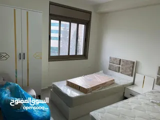  3 شقه مفروشه فرش جديد في المصيون