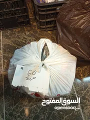  11 شروة شروه كفرات 140 كفر تشكيلة كبيرة حديث وقديم بسعر قليل