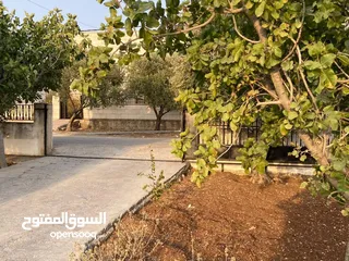  3 منزل مستقل للبيع في الحصن شرق شارع اربد عجلون