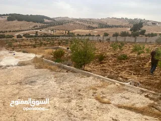  5 ارض زراعية في محافظة جرش