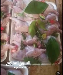  2 فري مذبوح جاهز
