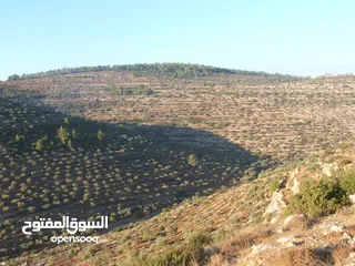  1 دونم للبيع في عين عريك
