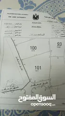  4 ارض للبيع منطقة جيوس قلقيلية