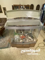  3 حوض سمك حجم وسط للبيع