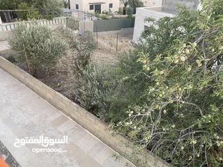  4 ‏أرض للبيع مع بيت بيت لحم واد رحال 500 متر ‏ سعر من 580 الي 650 (طابو) موقع هادئ وجميل  B