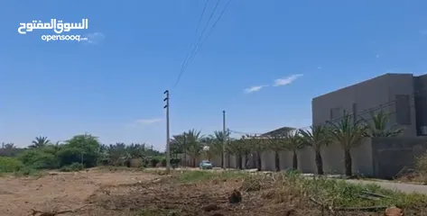  3 أرض لقطة للبيع المستعجل 985 م مناسبة لشاليه بسعر حرق