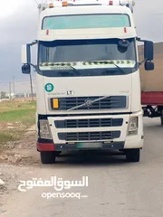  1 راس تريلا ڤواڤو