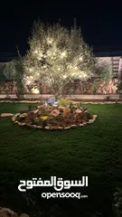  23 شاليه للبيع