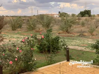  14 مزرعة للبيع. هكتار  في بنغازي. الكويفية
