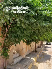 5 منزل مستقل للبيع