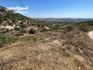  1 بسبب ظروف السفر وترك المنطقة، بدي أبيع الأرض.