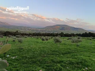  3 نمرة ارض مميزة للبيع