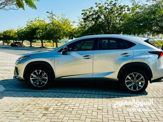  13 Lexus NX 300 2019 F Sport