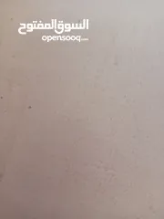  1 صيصان للبيع