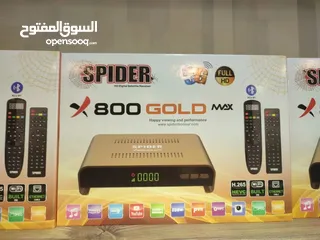  2 Spider x800 gold