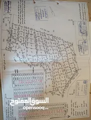  3 نمر للبيع بمساحات متعدده