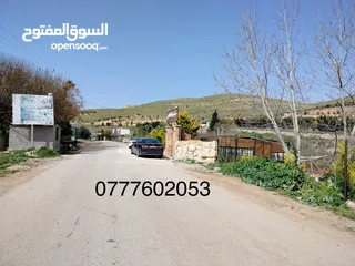  14 قطعة ارض مطلة ومرتفعه مساحة 4 دونم اتفي القنية مقابل مطاعم السمك ومنتجع تل الورد