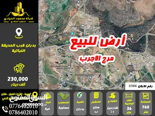  2 رقم الاعلان (2586) أرض للبيع لقطة في شفا بدران قرب مسجد معود الحجاج