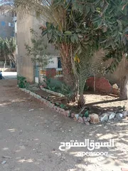  2 متفرع من شارع صبحي حسين مساكن النصر القديم علي الشارع الجديد عدلي المليجي