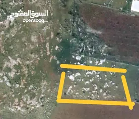  4 بيع قطعة الأرض في طوباس