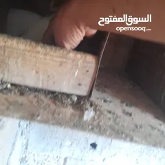  5 حمام منوع وملون