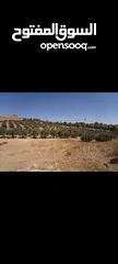  8 ارض مميزة للبيع في شفا بدران حوض المكمان