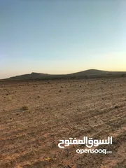  9 ارض للبيع بسعر ممتاز 300 دينار الدنم