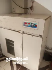  5 فقاسة للبيع بسعر حرررق عين الباشا