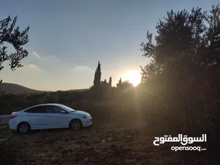  1 هونداي آكسنت 2014