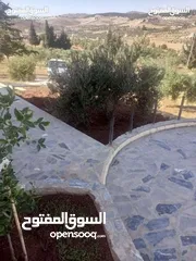  24 لقطه مزرعه مع بيت ريفي 48 الف قابل للتفاوض منطقه ريف جرش