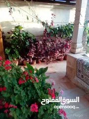  3 شقة مميزة مفروشة للبيع في دير غبار  ( Property ID : 30750 )