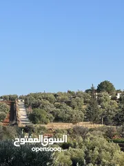  4 مزرعة للبيع في السلط – الديرة