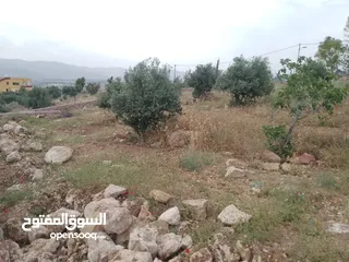 8 أرض ذات إطلالة خلابة في أجمل مناطق جرش