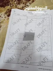  1 ارض مفروزه للبيع الرمثا