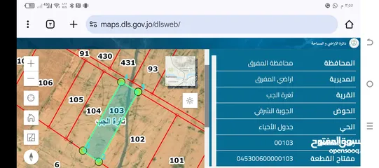  2 أرض للبيع في محافظة المفرق