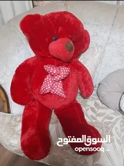  2 دب احمر حجم كبير