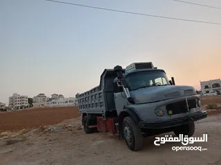  1 قلاب فطسة للبيع