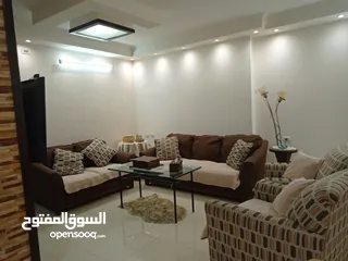  14 شقه مفروشه تؤجر شهرياً
