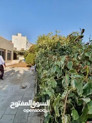  20 فيلا للبيع في اجمل احياء عبدون الراقية ذات تصميم حديث و راقي