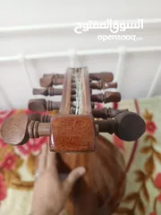  5 عود زرياب 1 تركي للبيع
