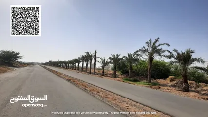  3 امتلك ارض سكنى تجارى العاليه سعر شامل رسوم التملك  افضل موقع