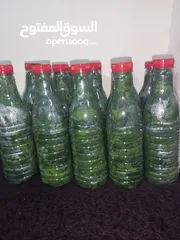  11 طعام جاهز بيتي