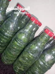  16 طعام جاهز  بيتي