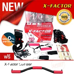  13 X-factor Door Gym