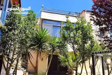  6 فيلا للبيع في أجمل المواقع في عمان تبعد عن الدوار السابع 15 دقيقه اطلاله مميزه على جبال فلسطين